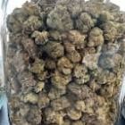 jars